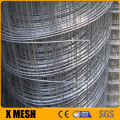 China lowest price galvanized welded iron wire mesh with Australia quality